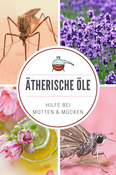 Natürliche Insektenabwehr mit Ätherischen Ölen (1)