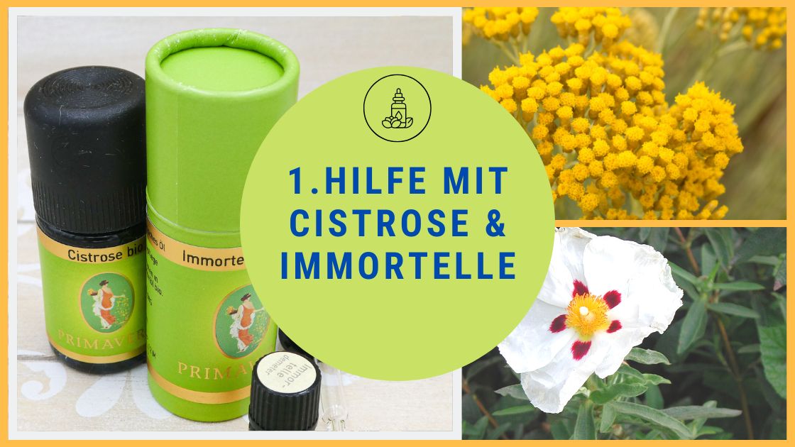 Immortelle & Cistrose - unverzichtbar für Notfälle in meiner Hausapotheke!